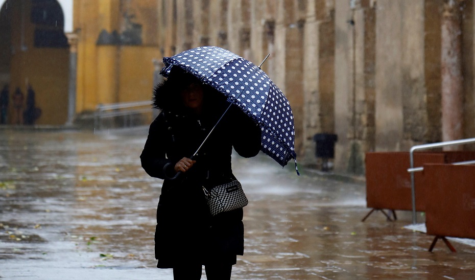 Una mujer se protege de la lluvia con un paraguas.